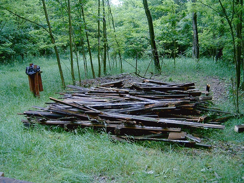 20100601 005.jpg